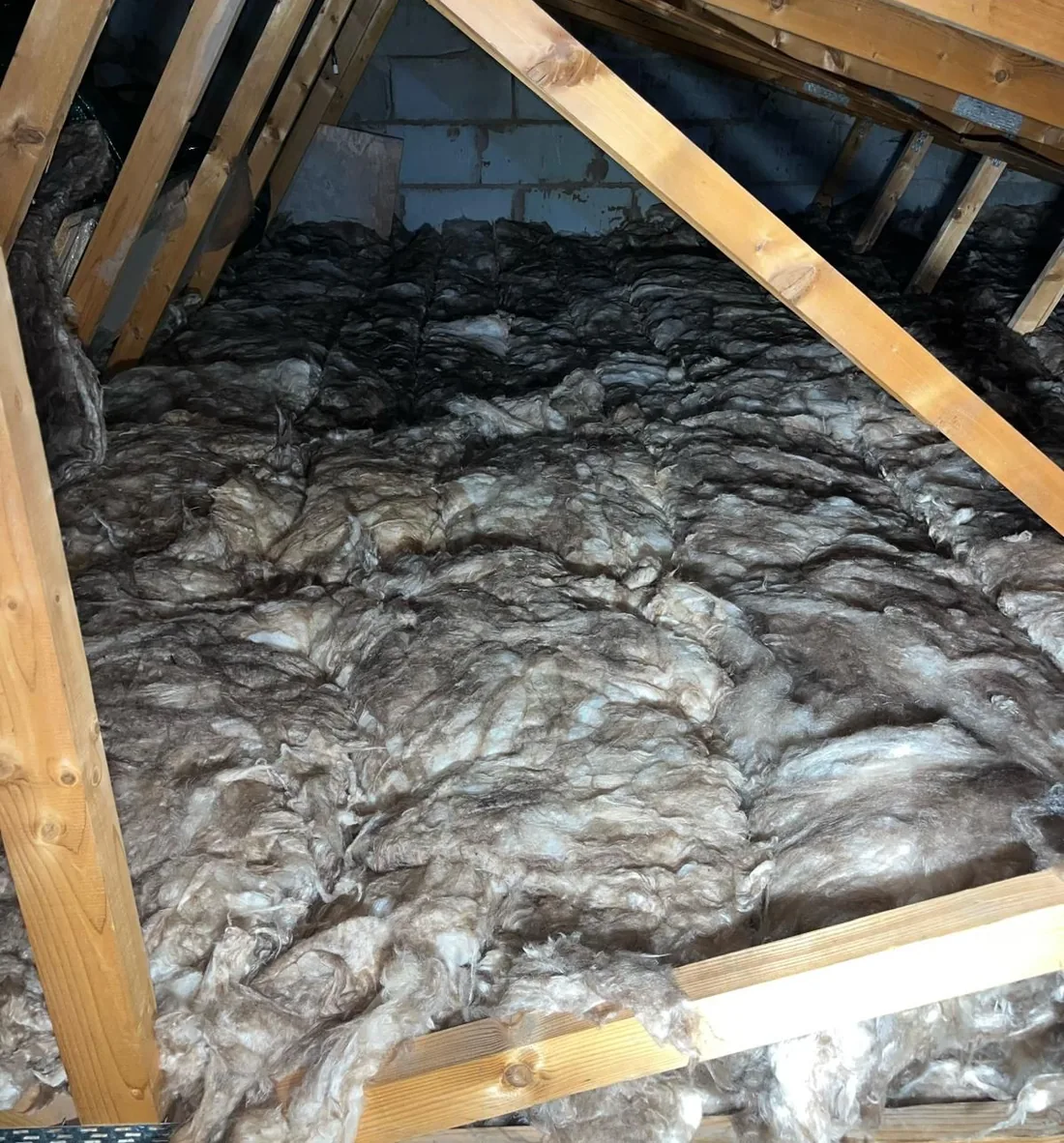 Leeds loft before the work, with old dark compressed insulation between the joists